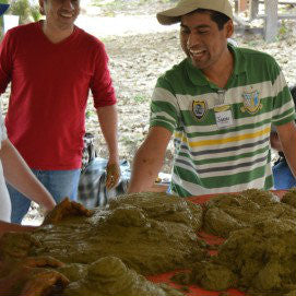 organic honduras specialty coffee